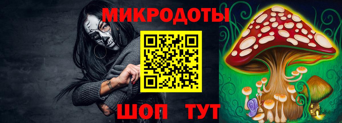 Выборг  Псилоцибиновые грибы ЛСД  где можно купить наркотик  Псилоцибиновые грибы мицелий  Вход с VPN 